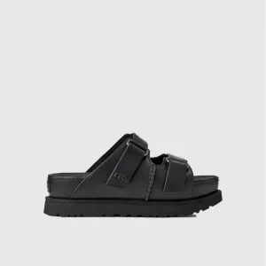 Donna Ciabatte Goldenstar Hi