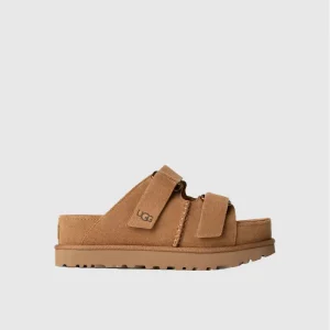 Donna Ciabatte Goldenstar Hi