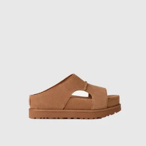 Donna Ciabatte Goldenstar Hi Cutout